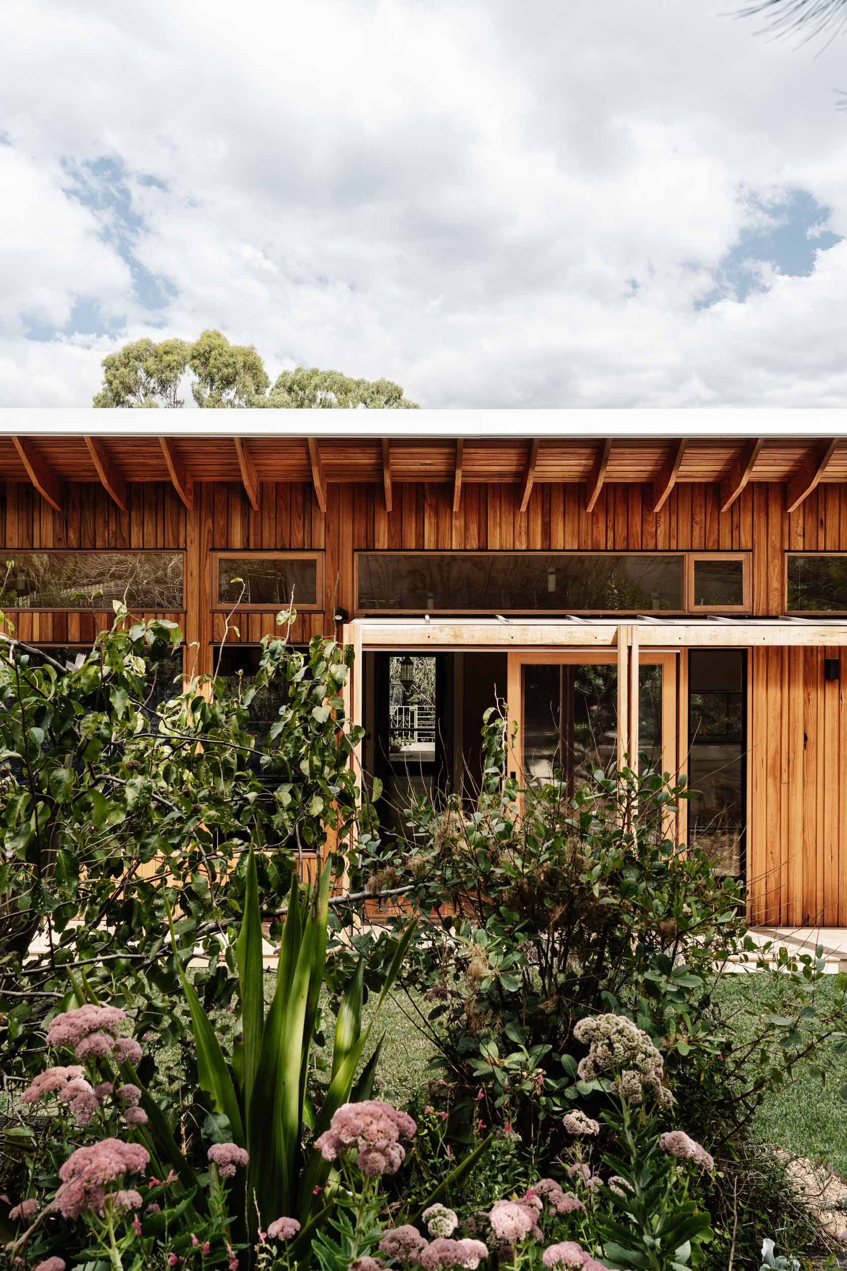 Southern Blue Gum Care and Maintenance Guide