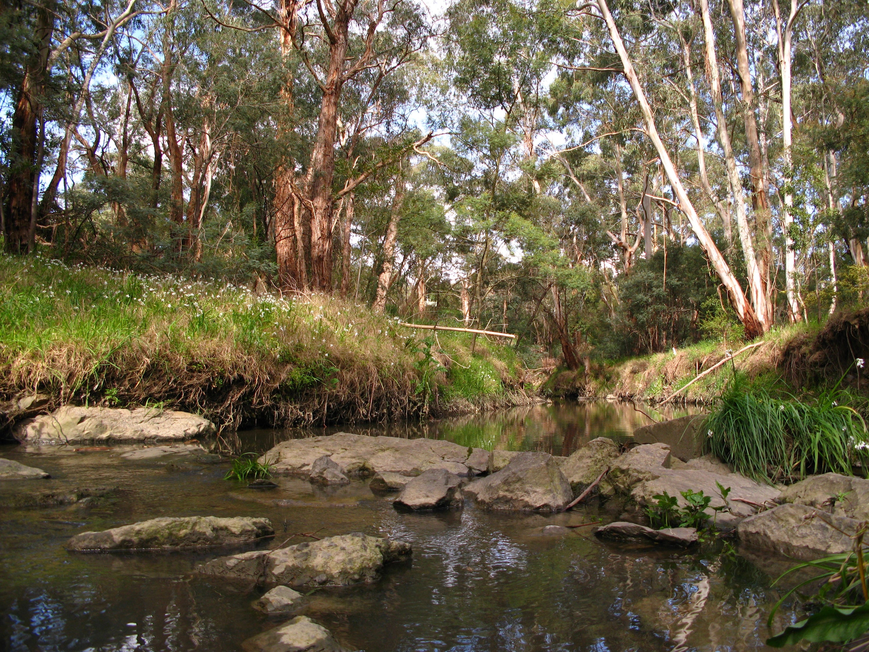 Mullum Creek Timber Products Guide