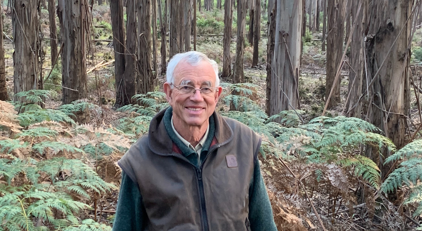 John Lord standing amongst his Shining Gum CERES Fair Wood