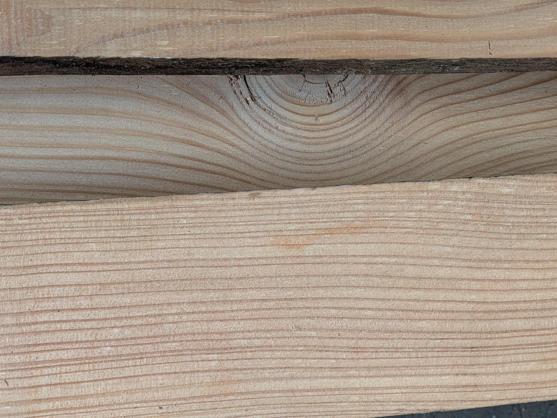 Everything you ever wanted to know about larch