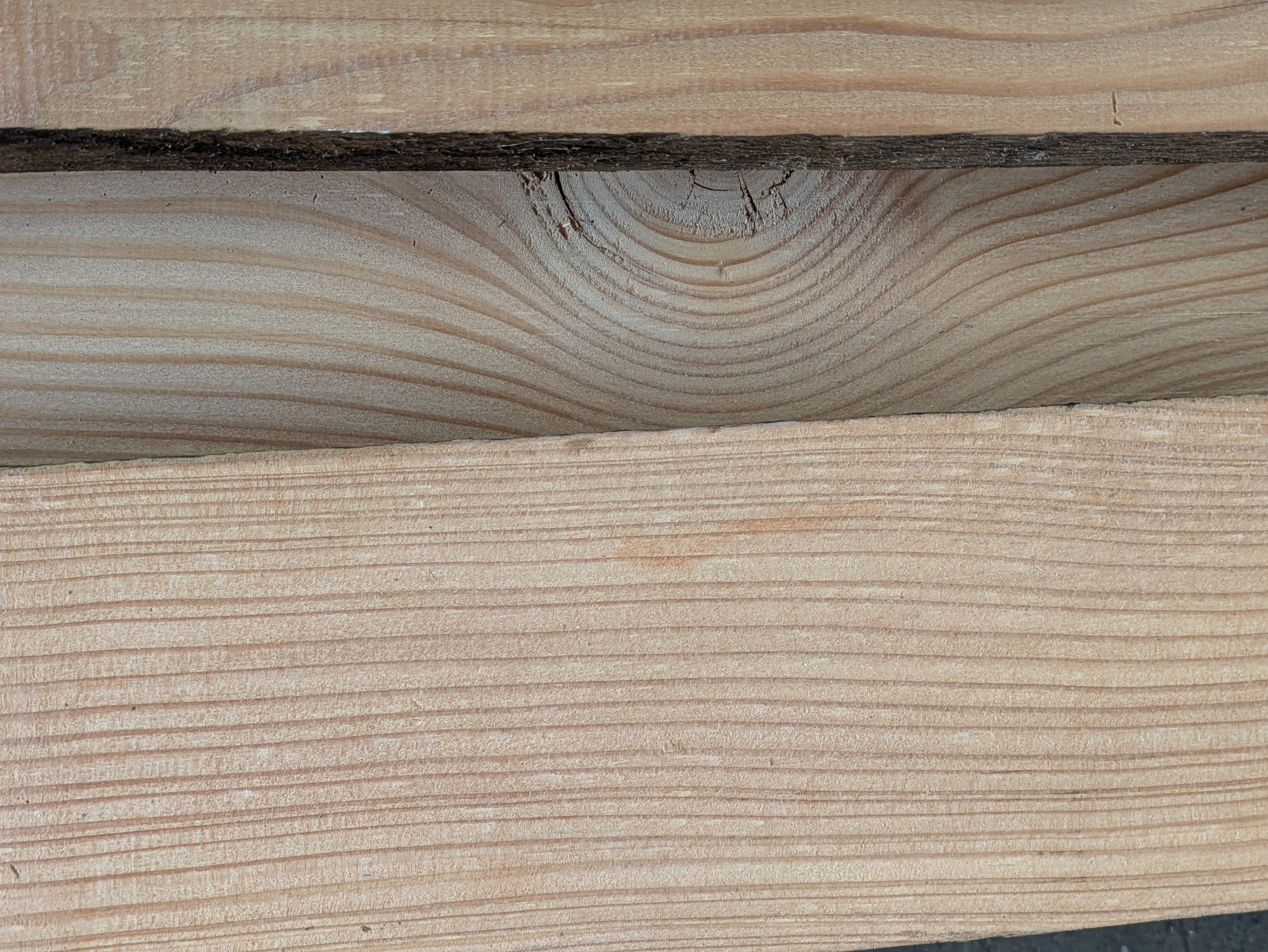 Everything you ever wanted to know about larch