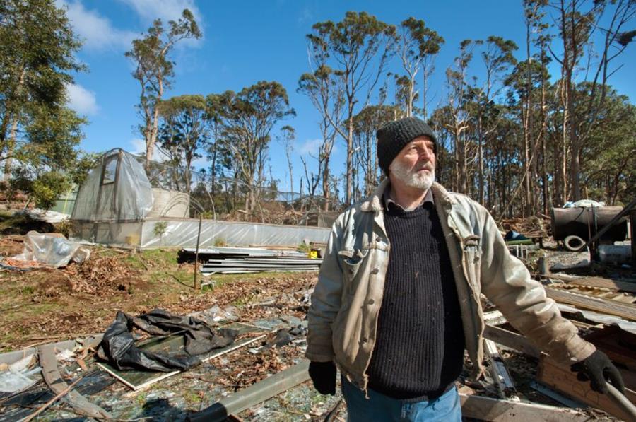 Paul's trees - 4 years of stormfallen salvage