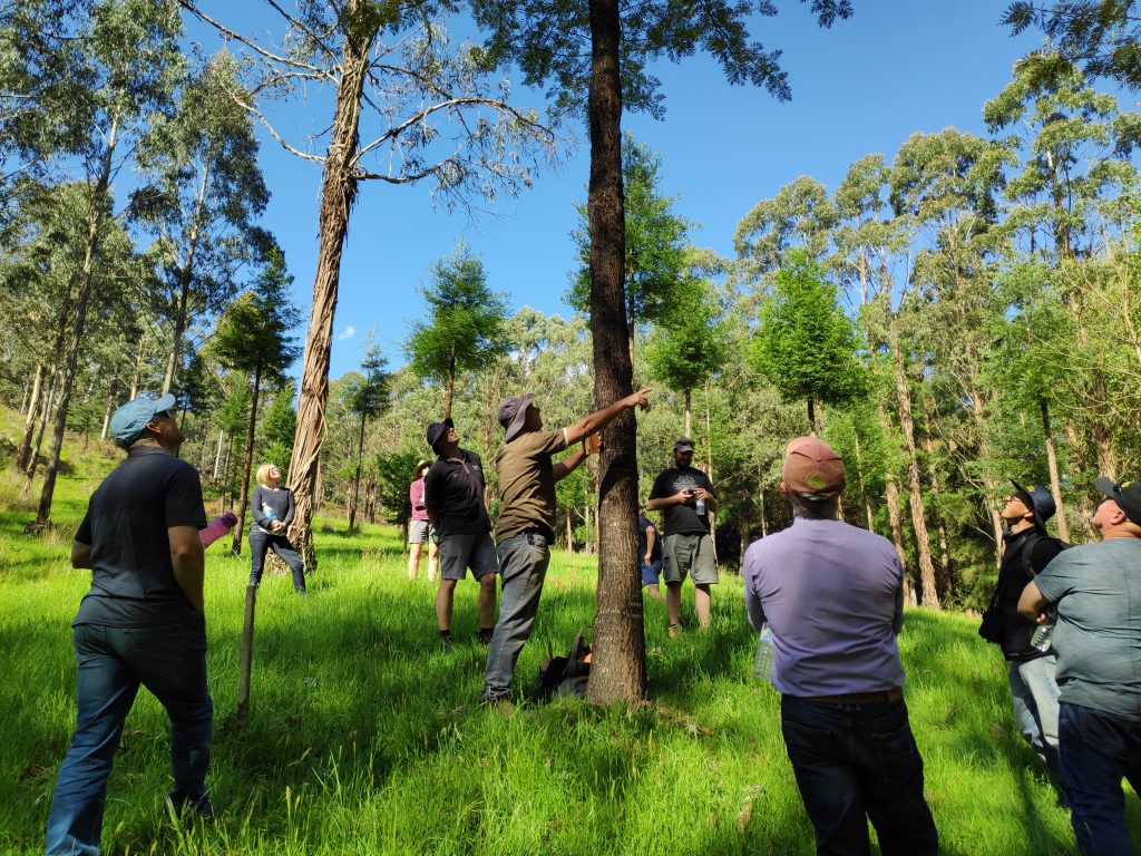 A Visit to Rowan Reid's Bambra Agroforestry Farm