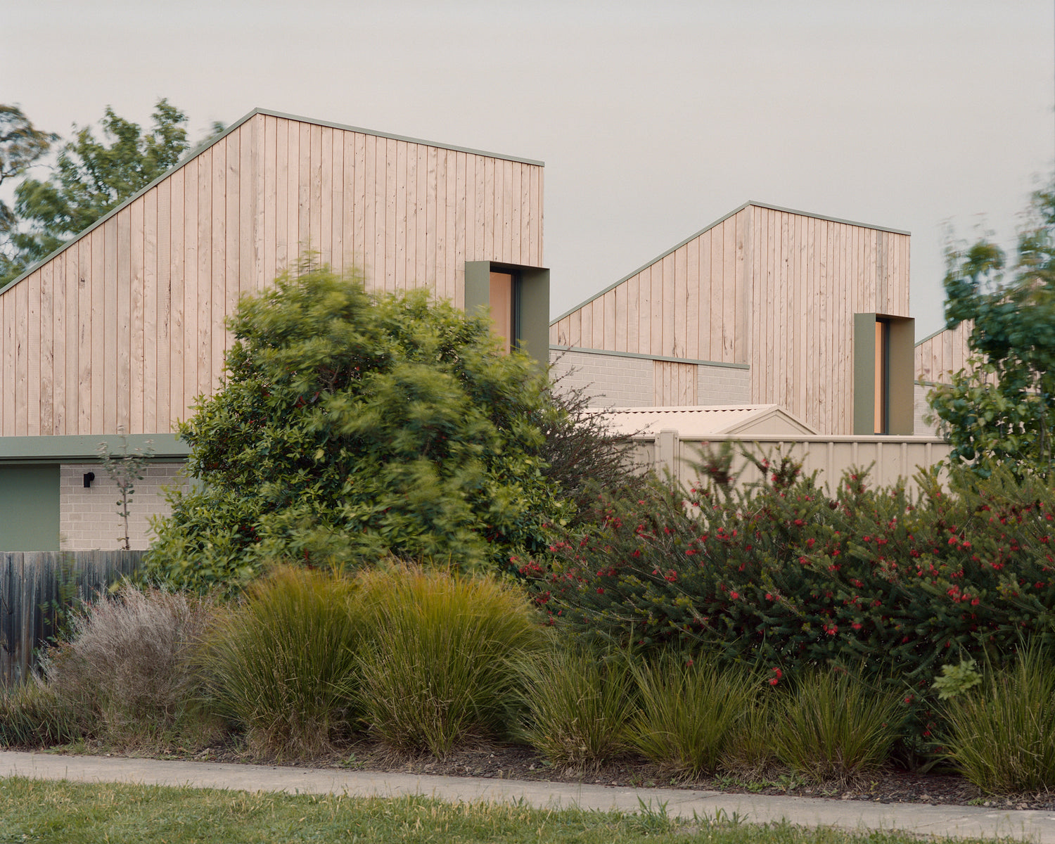 Macrocarpa Cypress Cladding