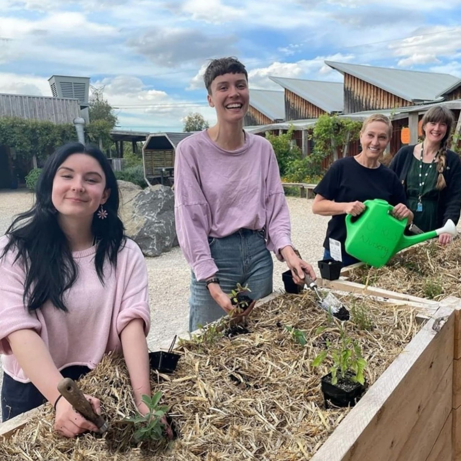 Macrocarpa Cypress Sleepers