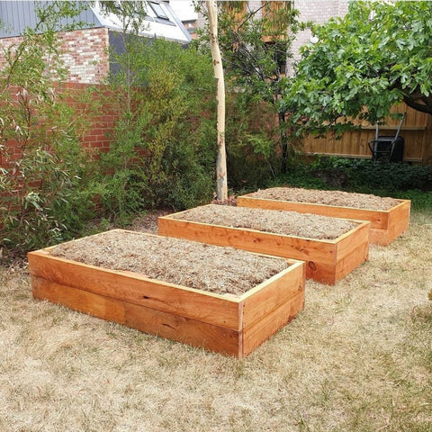 Garden Veggie Bed Kits